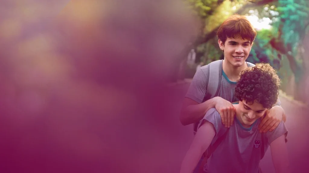 The Way He Looks (2014)